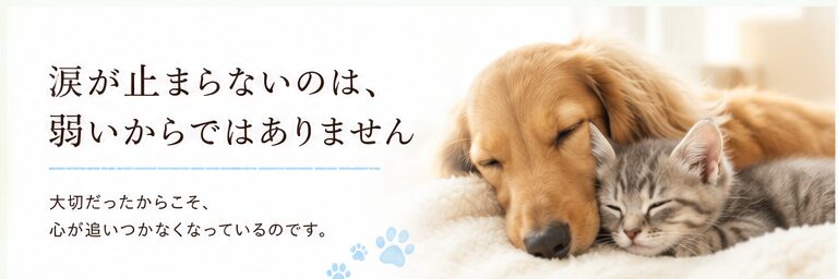 涙が止まらないのは、弱いからではありません